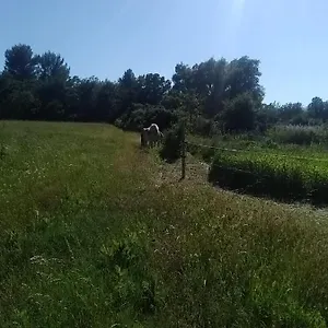 Maison Individuelle 5 Couchages Dans Ferme Equestre Hébergement de vacances